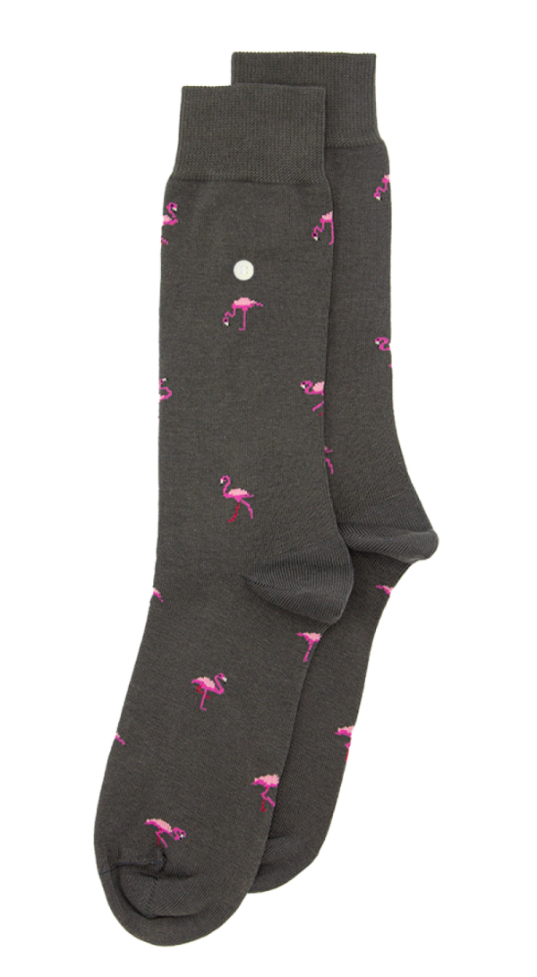 Flamingos anthra