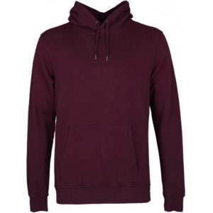 hoodie colorful standard