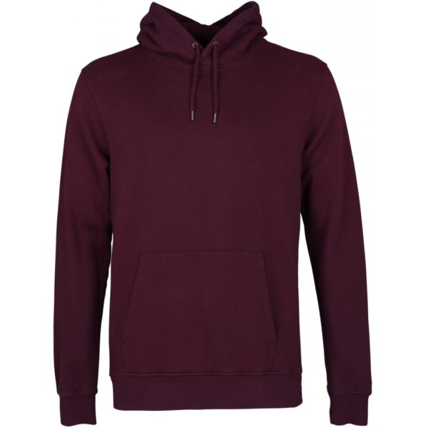 hoodie colorful standard