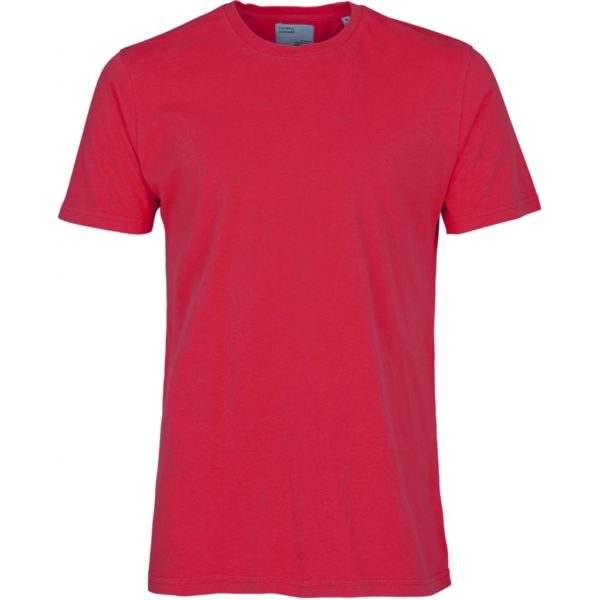 organic tee colorful standard