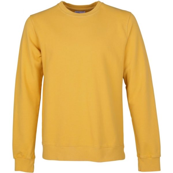 sweatshirt colorful standard