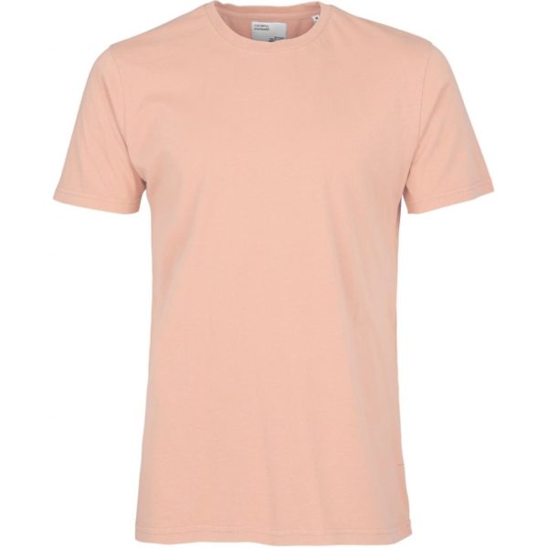 organic tee colorful standard