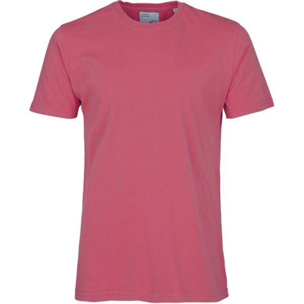 organic tee colorful standard