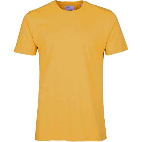 organic tee colorful standard