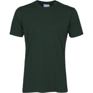 organic tee colorful standard