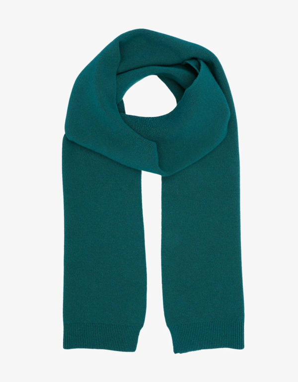 Merino Wool Scarf Scarf CS Ocean Green x x progressive