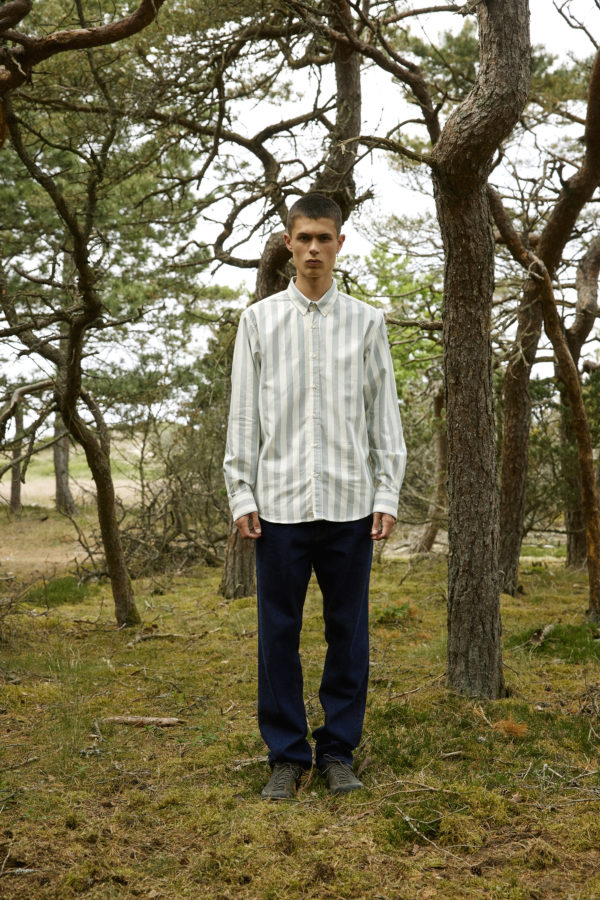life stripe