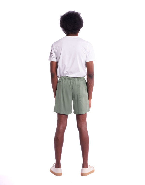 short bodhi vert