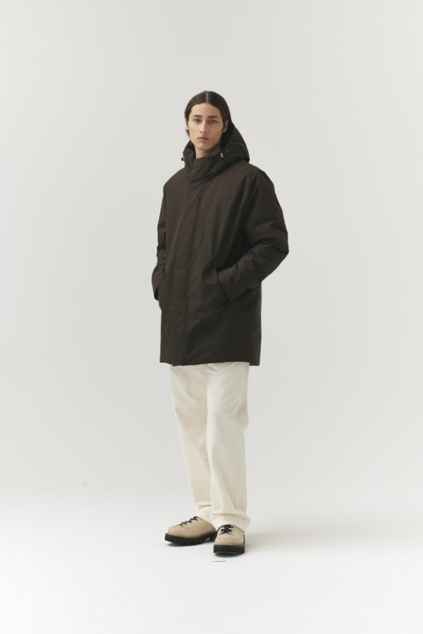 Don Down Chestnut – Image 2