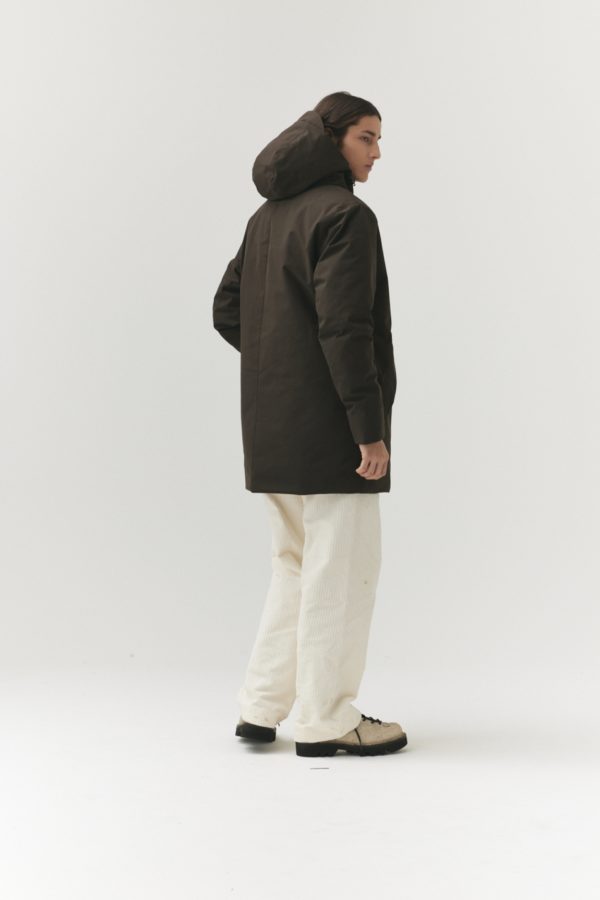 Don Down Chestnut – Image 3